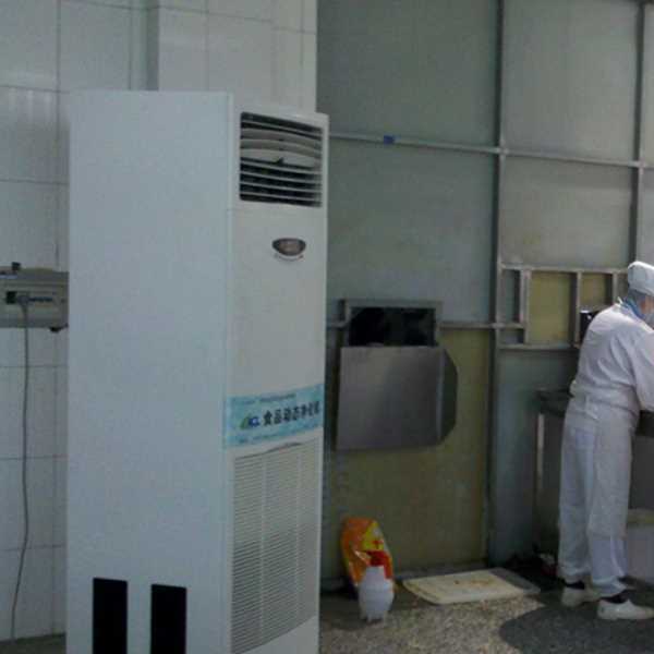 海南食品正负离子空气杀菌器